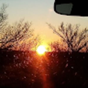 Meet your Posher, Avery